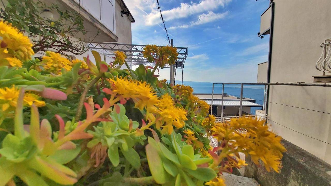 Apartment Cedo Omiš Eksteriør bilde