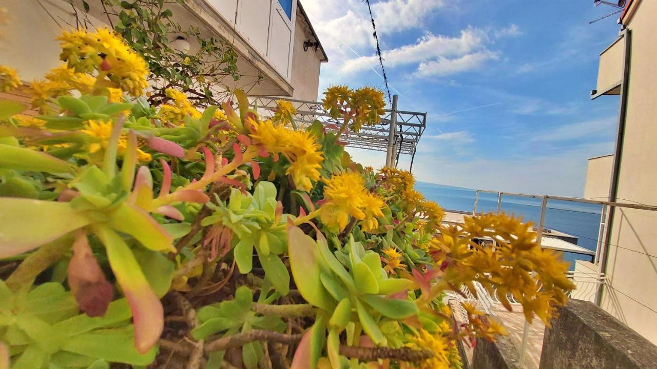 Apartment Cedo Omiš Eksteriør bilde
